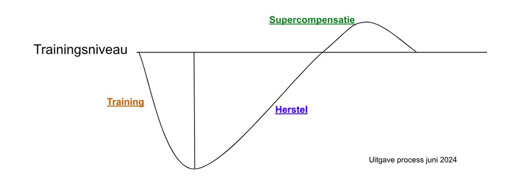 Beeld bij het artikel “Supercompensatie”